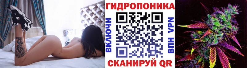 гидра онион  Сковородино  Конопля индика 